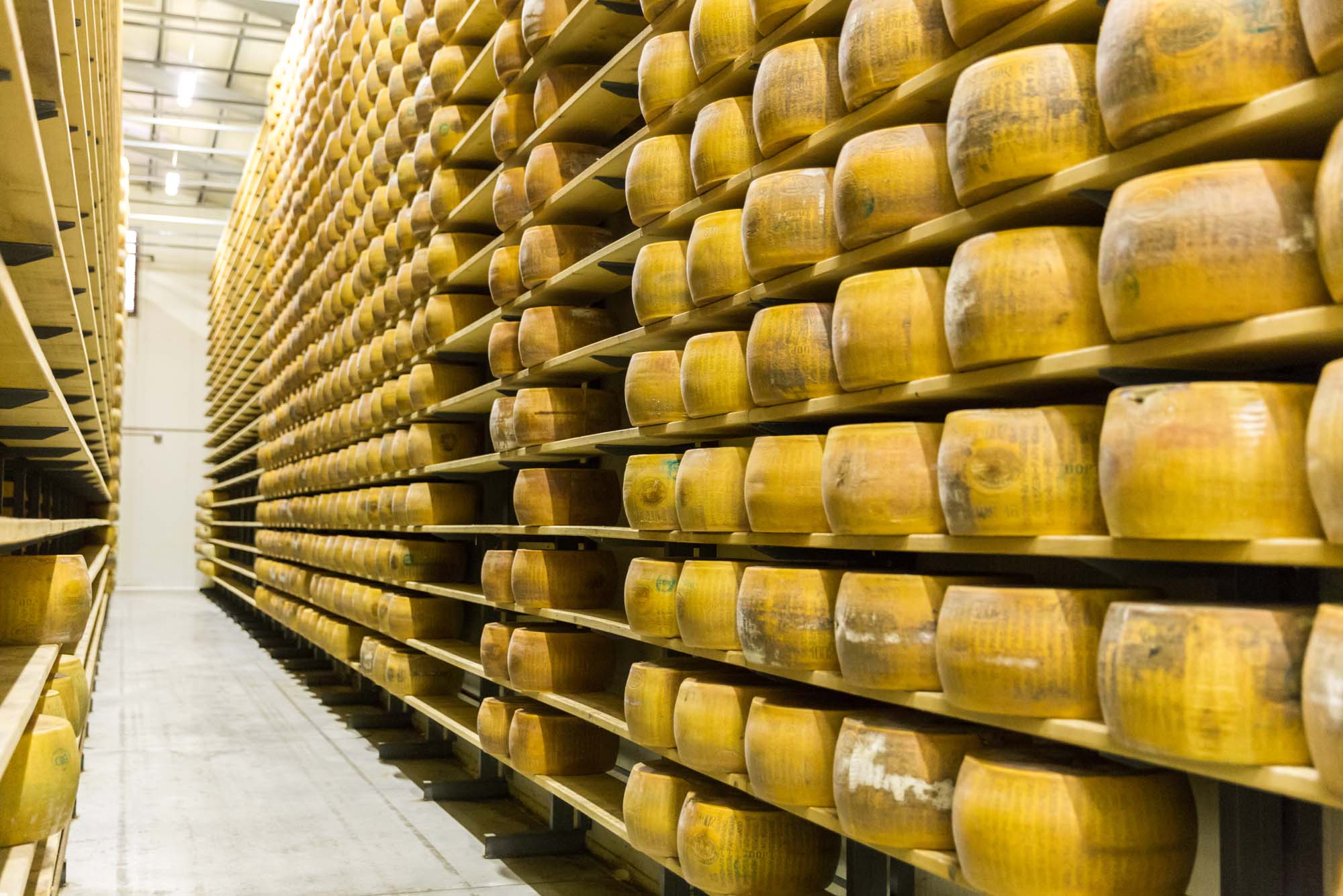 Parmigiano cheese factory.